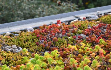 the cost of West Benhar green roof installation