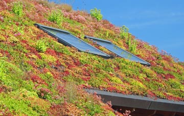 West Benhar living roof systems