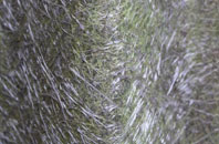 West Benhar fibreglass roof work